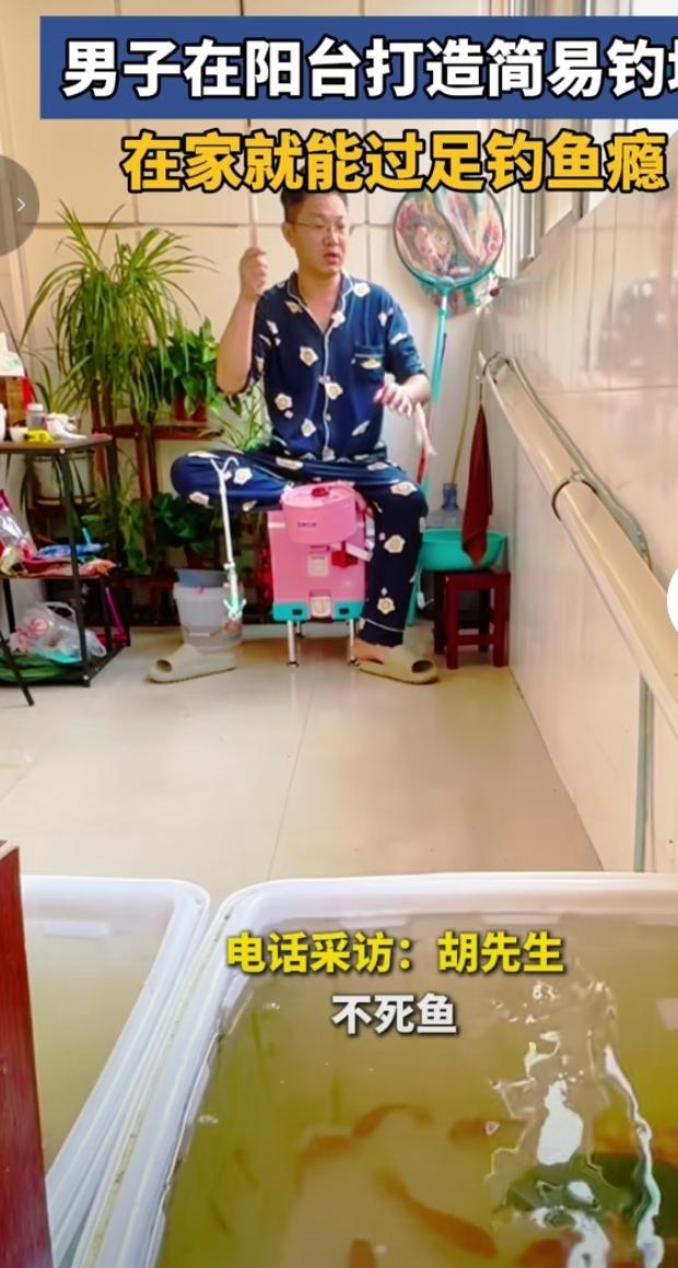 钓鱼爱好者的最高境界来了！池州胡先生直接在自家阳台，打造了一个简易室内钓场，足不