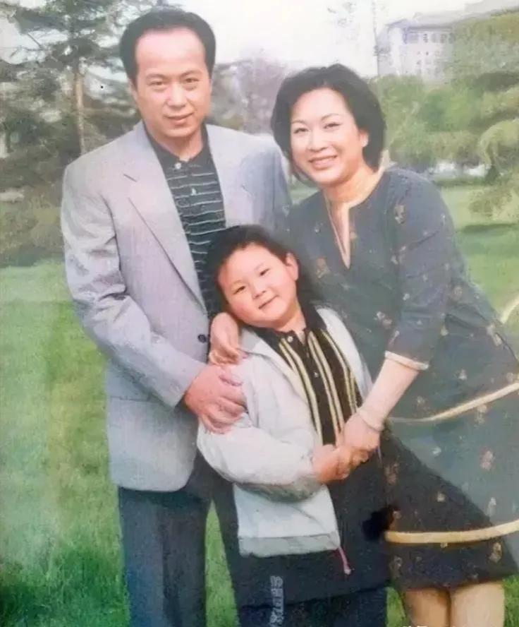 著名主持人罗京，去世多年后，母亲患上老年痴呆，妻子带着儿子改嫁了一位富商，可是儿