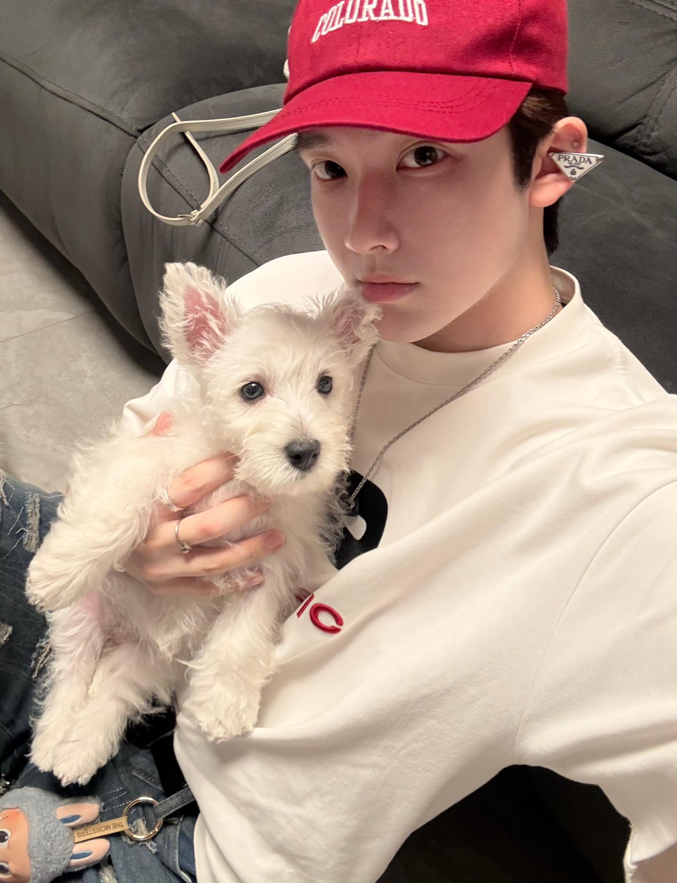 有可爱的小狗  是谁呢