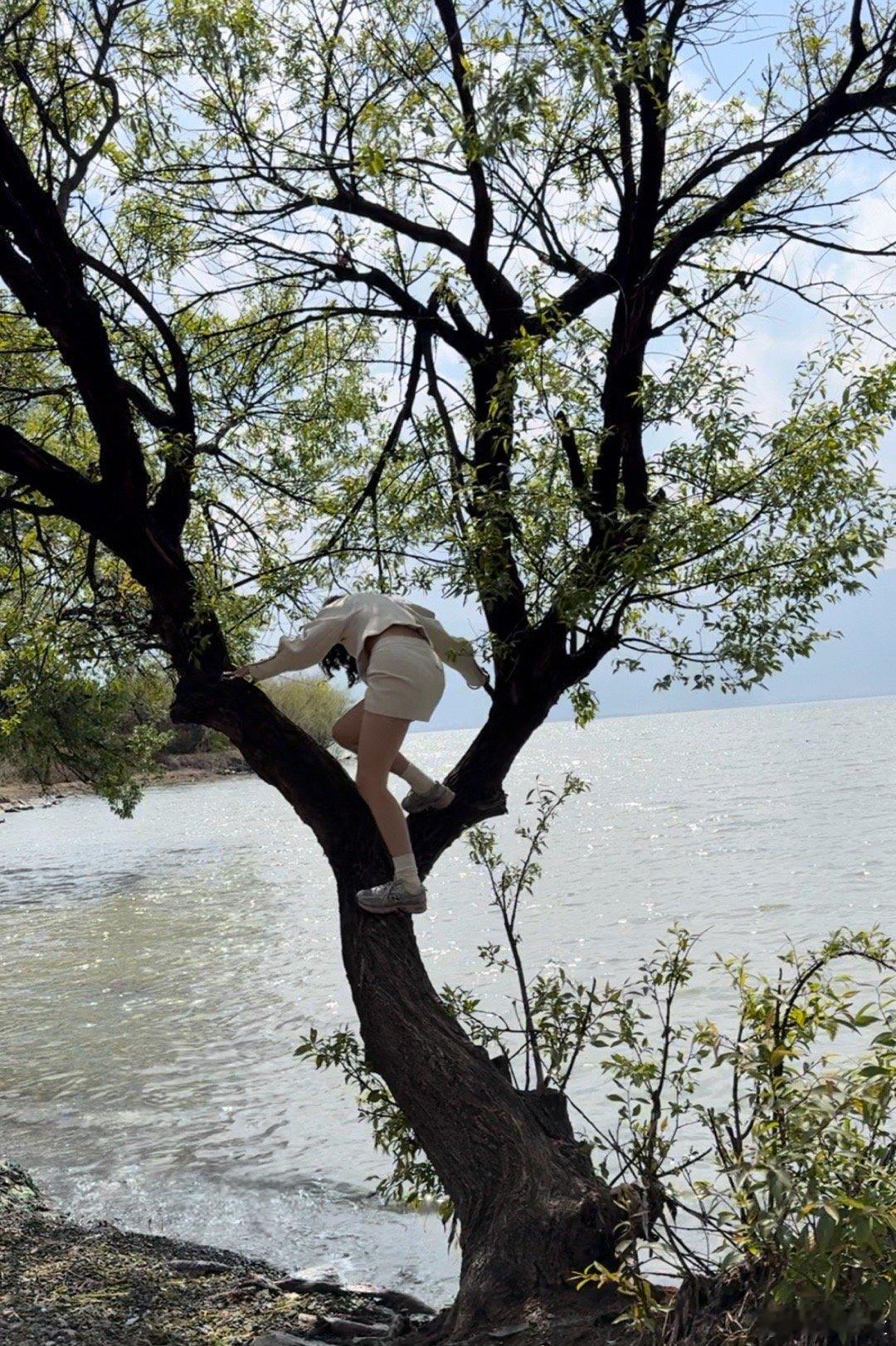 第一次去海东！谢谢小平带我玩！爬树 吃花 吃韭菜盒子配咖啡（拉花失败版） 小熊饼