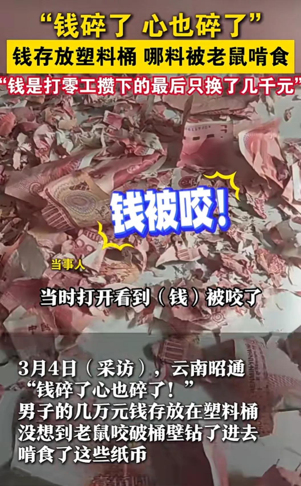 “钱碎了，心也碎了”！钱存放塑料桶，哪料被老鼠啃食，张先生辛辛苦苦攒下来的几万块