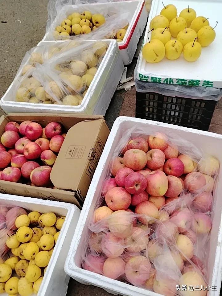 每年的正月都不知道怎么过来的，今年又开始忙了。我被推着走，没去想具体干点啥，但是