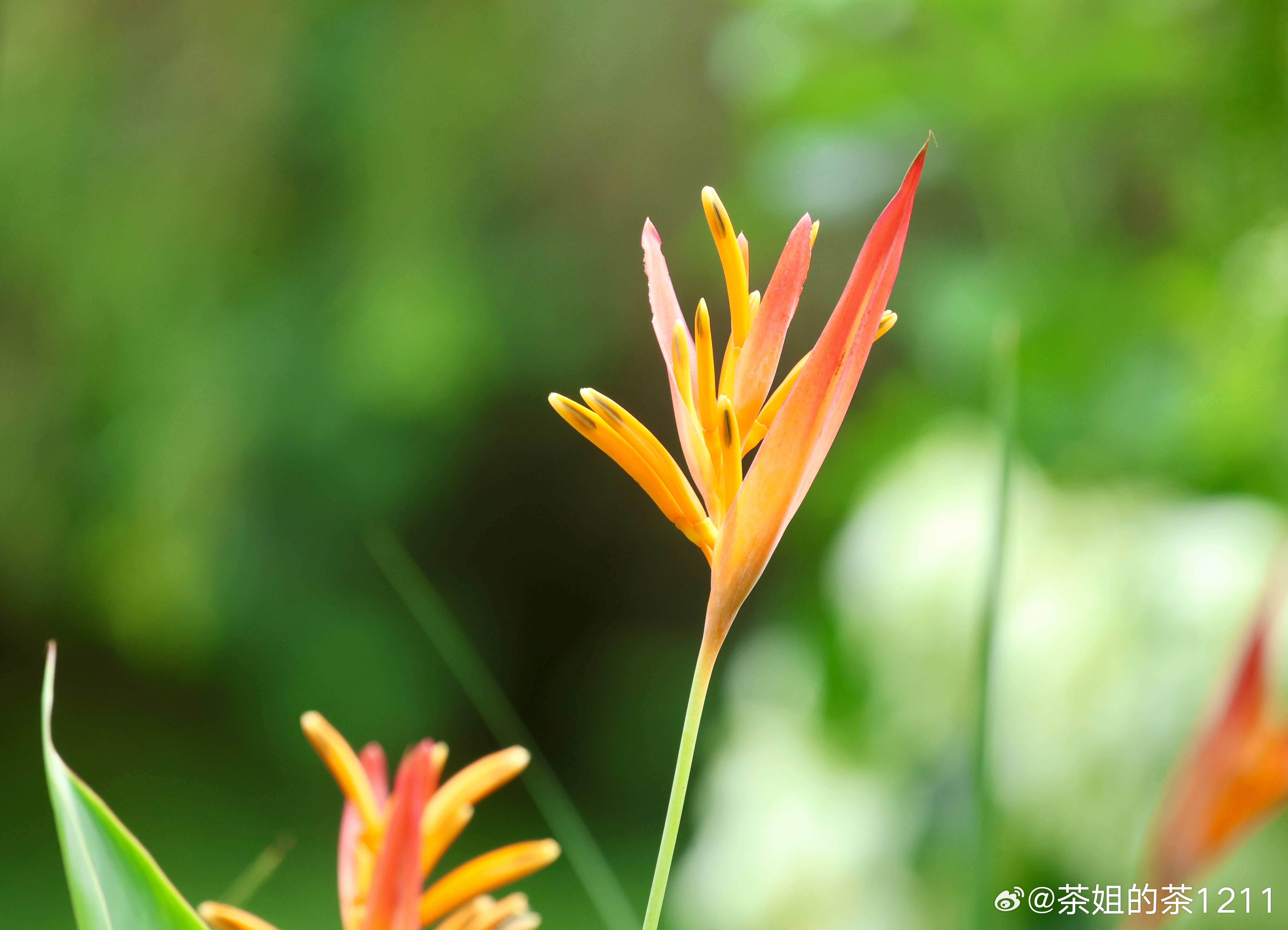 生活手记如果某一种思想可以取悦你，那么你思想的深度应该刚刚好是这个深度，人类的思