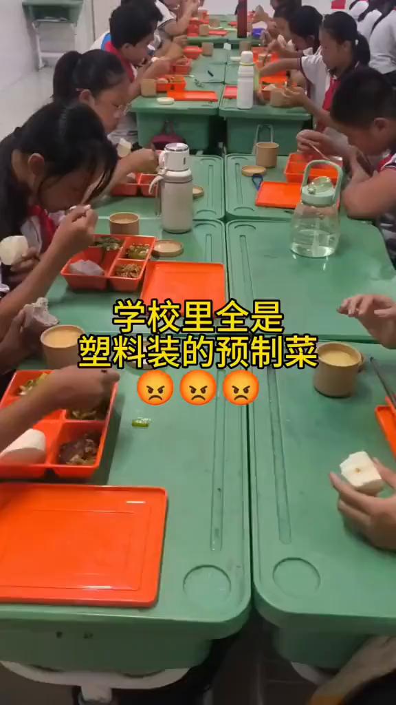 学校里全是塑料装的预制菜。