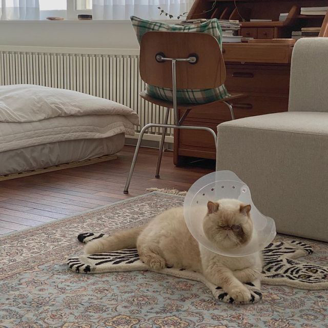 当第一次思考某件事时，几乎不可能产生最好的想法。发现重要见解的最有效方法是经常重