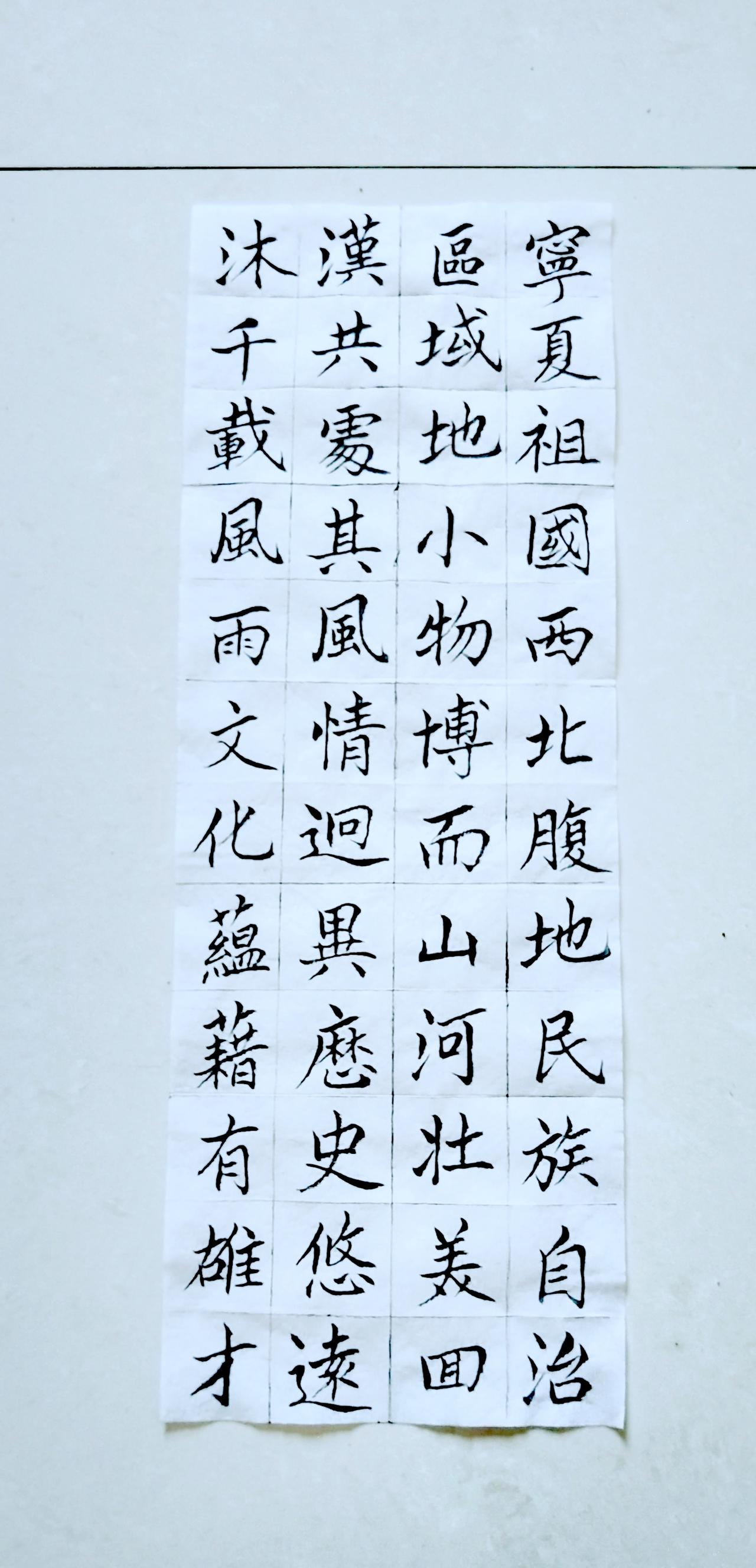 第七十八天《宁夏赋》（1）正楷毛笔练习