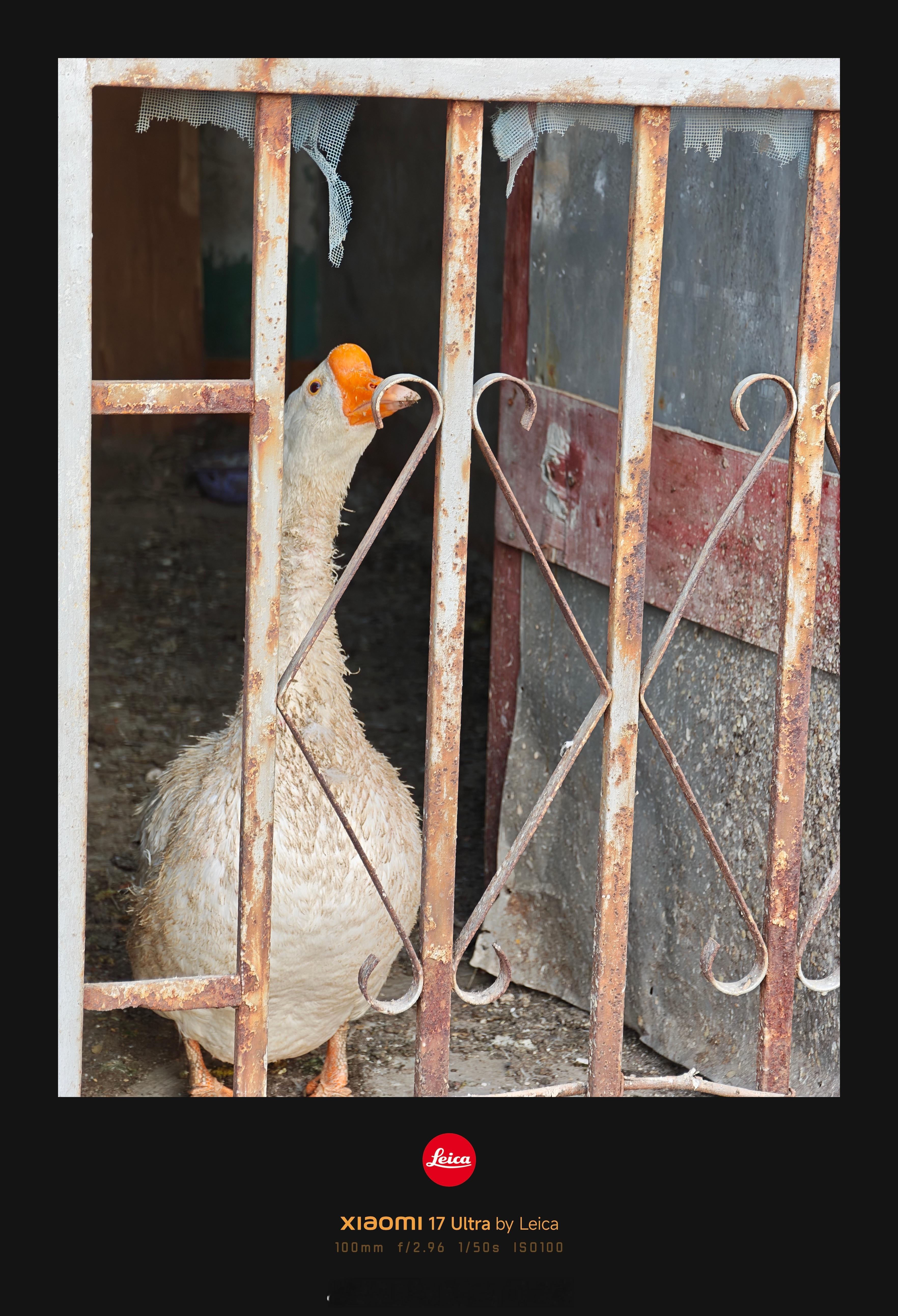 大年初七，再休整一天准备返工了