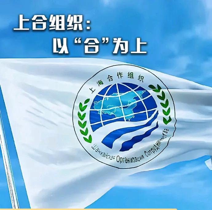 盘点世界著名组织
1.  英联邦（成员国56）
2.  非洲联盟（成员国55）