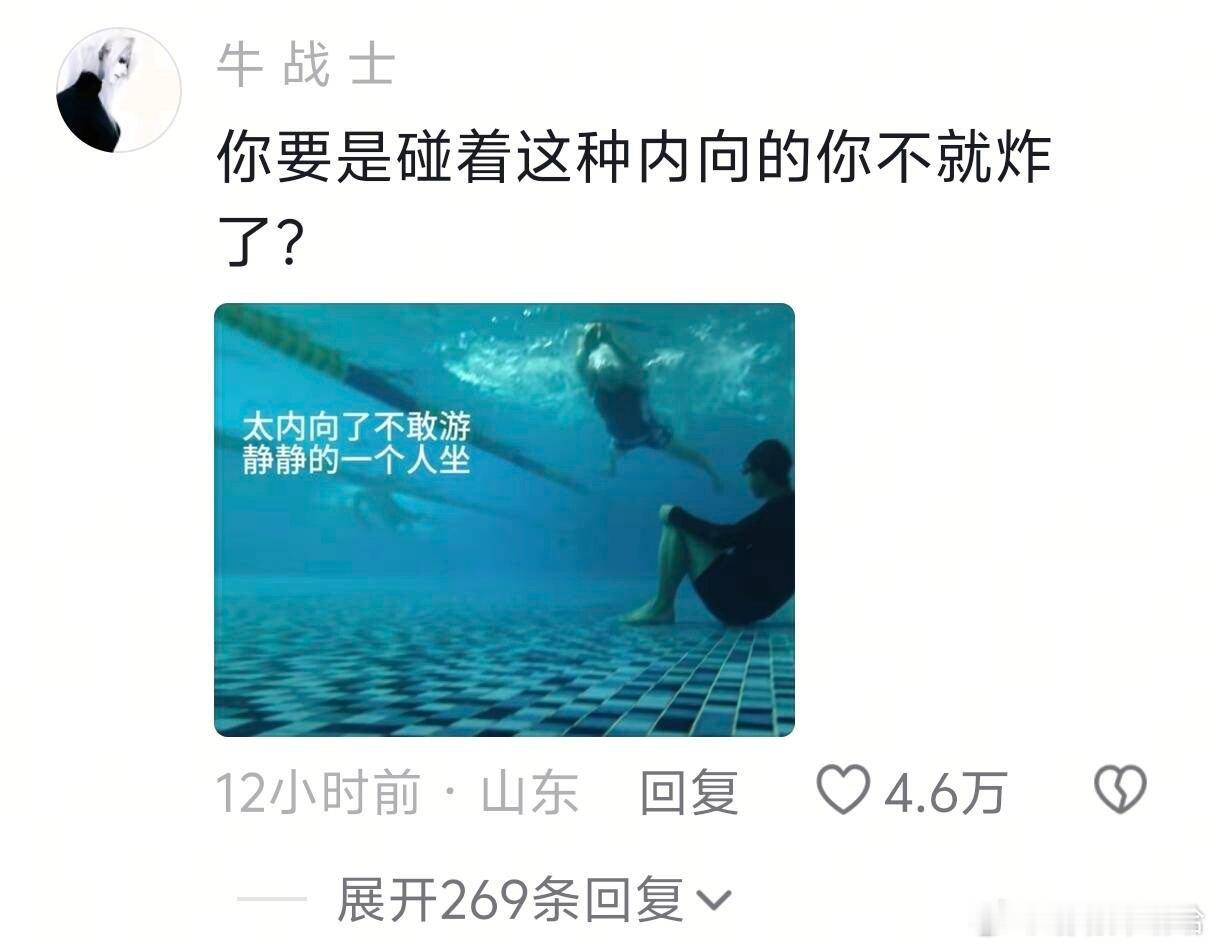 笑不活了，一群神入😇评论区一堆诸葛暗在那出谋毁策 