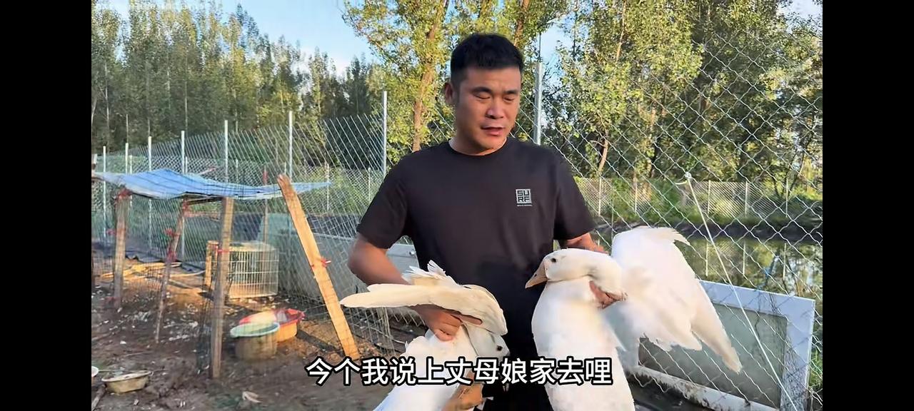 抠门阿杜给丈母娘送鹅
本来王老六给李佳娘家逮两个公鹅，让抠门阿杜给丈母娘送去，两