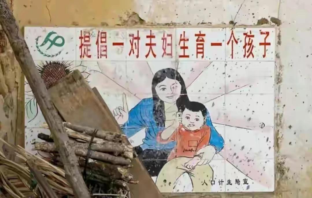 今年的两会，代表们关于民生，医疗，教育方面的各种建议很多。为什么都没有人提一下独
