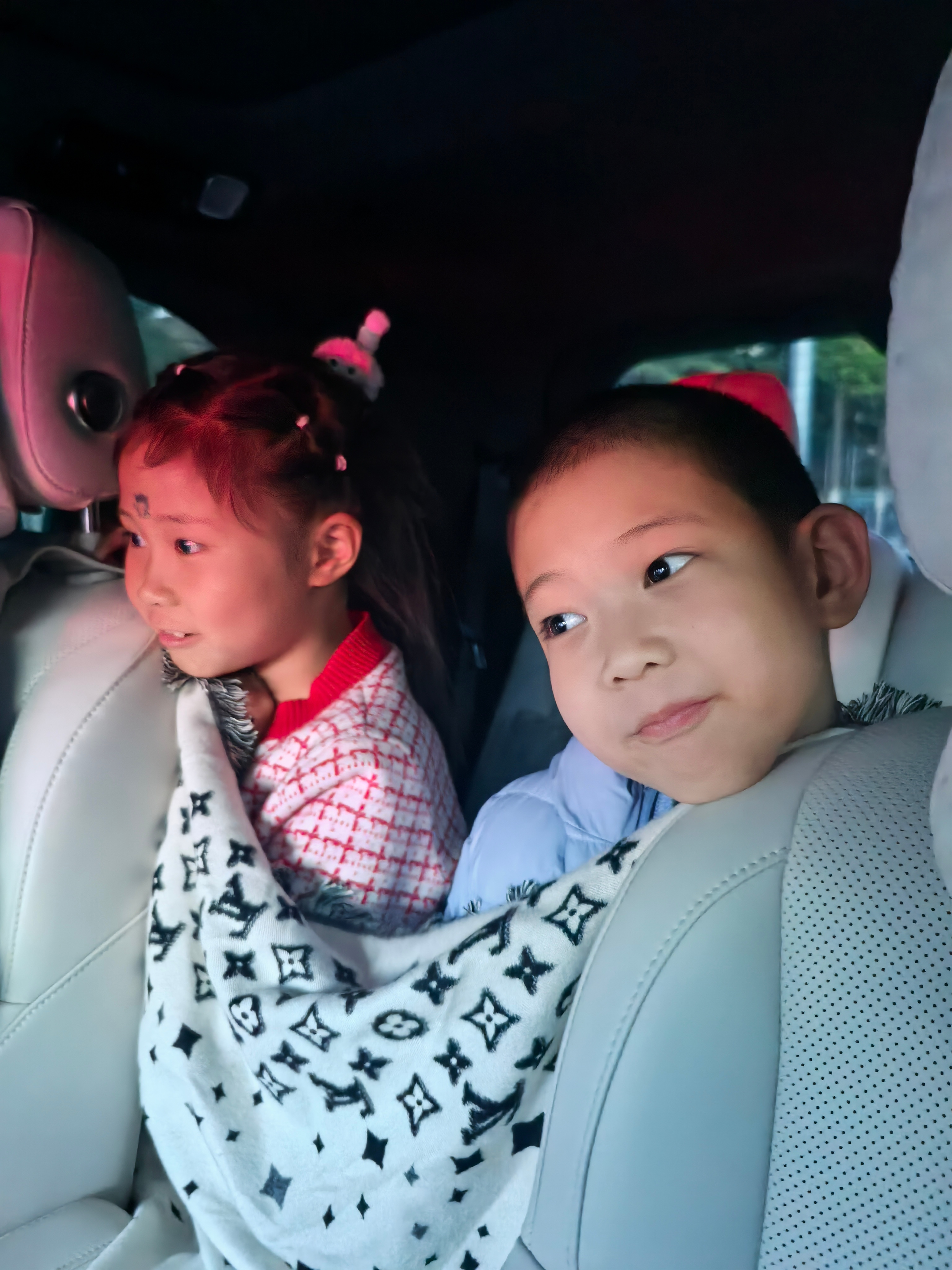 萌萌哒两小只……只有看电视才这么老实 ​​​