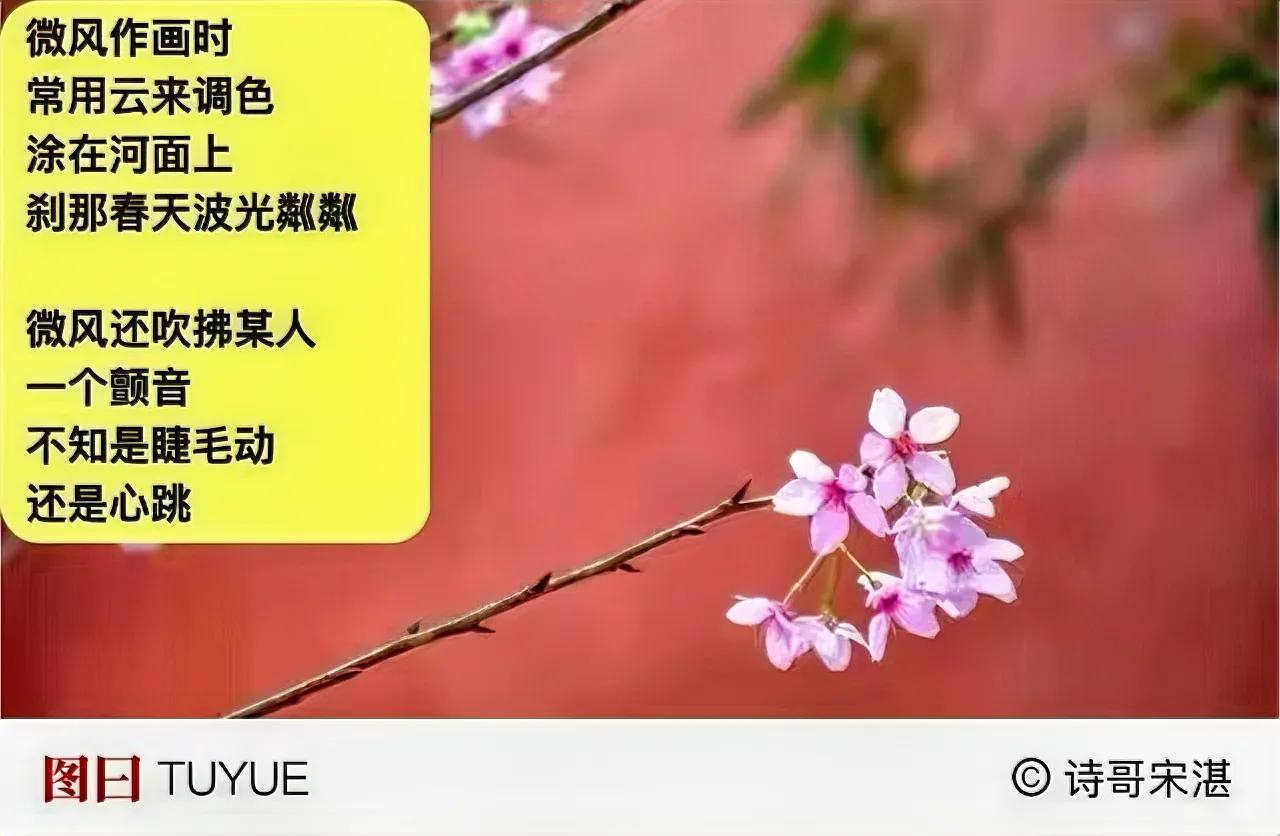 步入春天页面
得走近青草
得去花下流连
．
还有阳光
拿来驱散阴影
停止唠叨
专