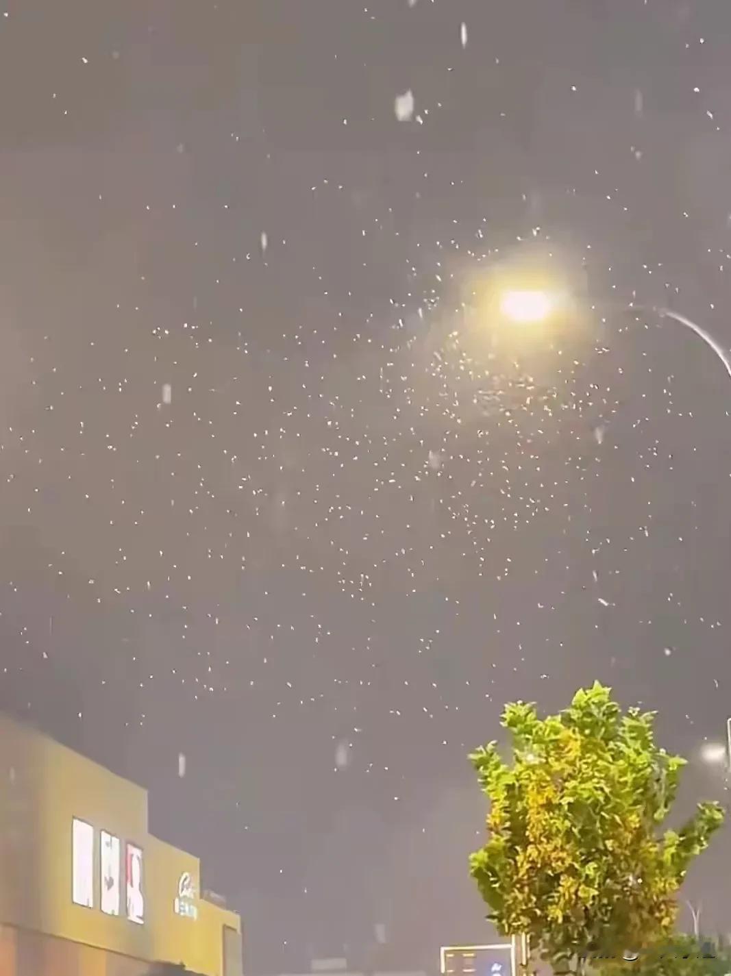 据说兰州下雪了，早上醒来赶紧跑到阳台看下的厚不厚，结果地上是干的，恍惚之间不相信