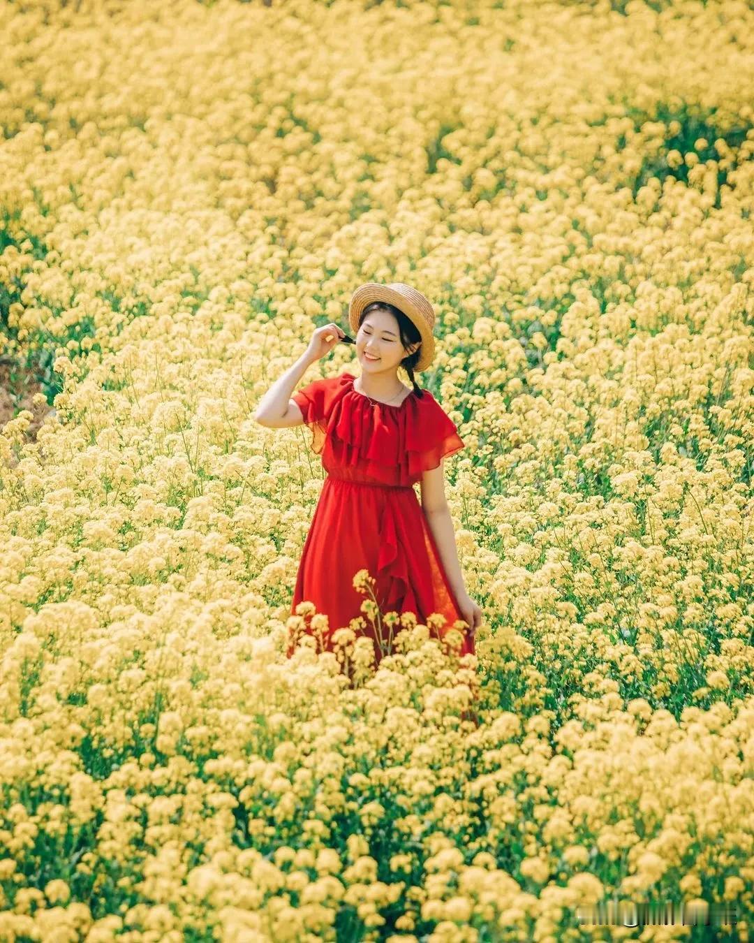 油菜花手机人像摄影教程：捕捉自然中的甜美笑容

在摄影的世界里，人像摄影一直是最