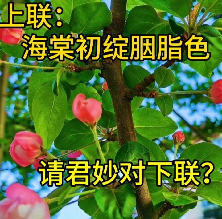 横批：万象更新