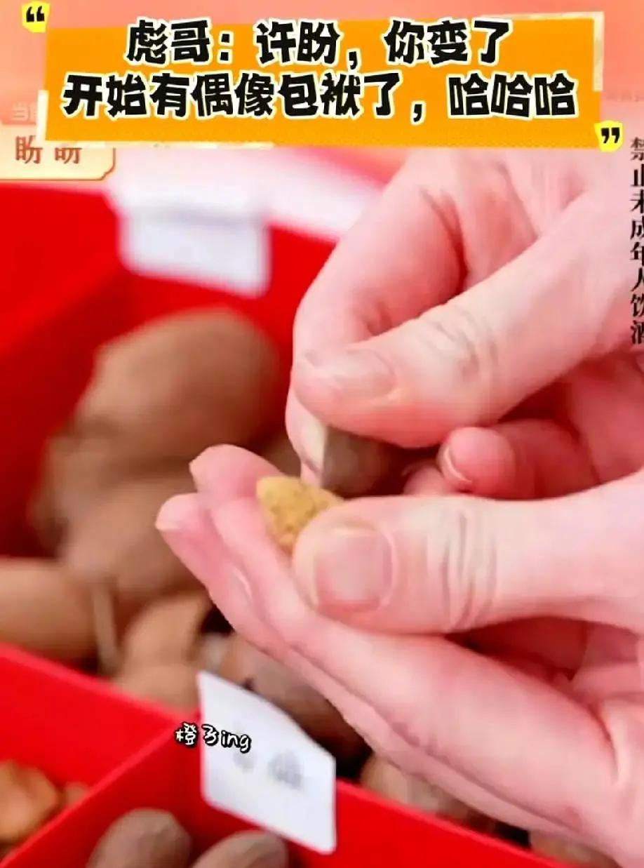 王盼盼在直播间搓玉米粒搓到指甲劈了，血珠顺着指缝往花生堆里滴。

她甩甩手说没事