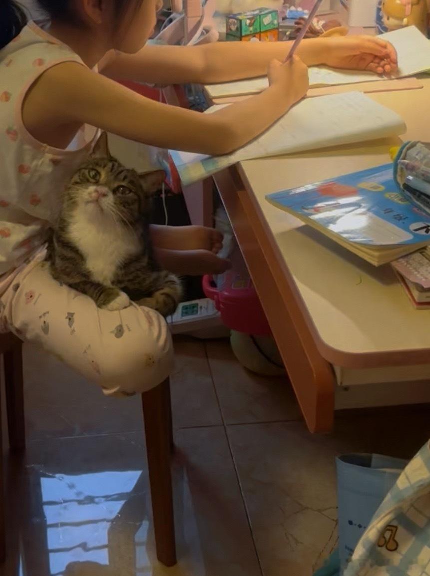 ？？哈皮现在正经挺猖狂