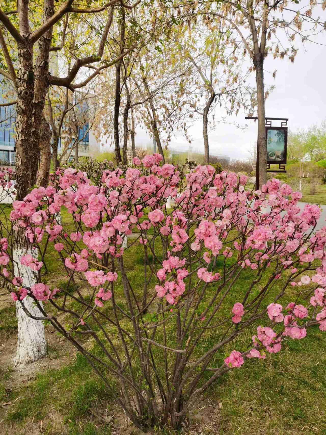 我的今日状态：🏝️旅行度假
我这里的天气：☀️晴天 我在家乡晒风景
