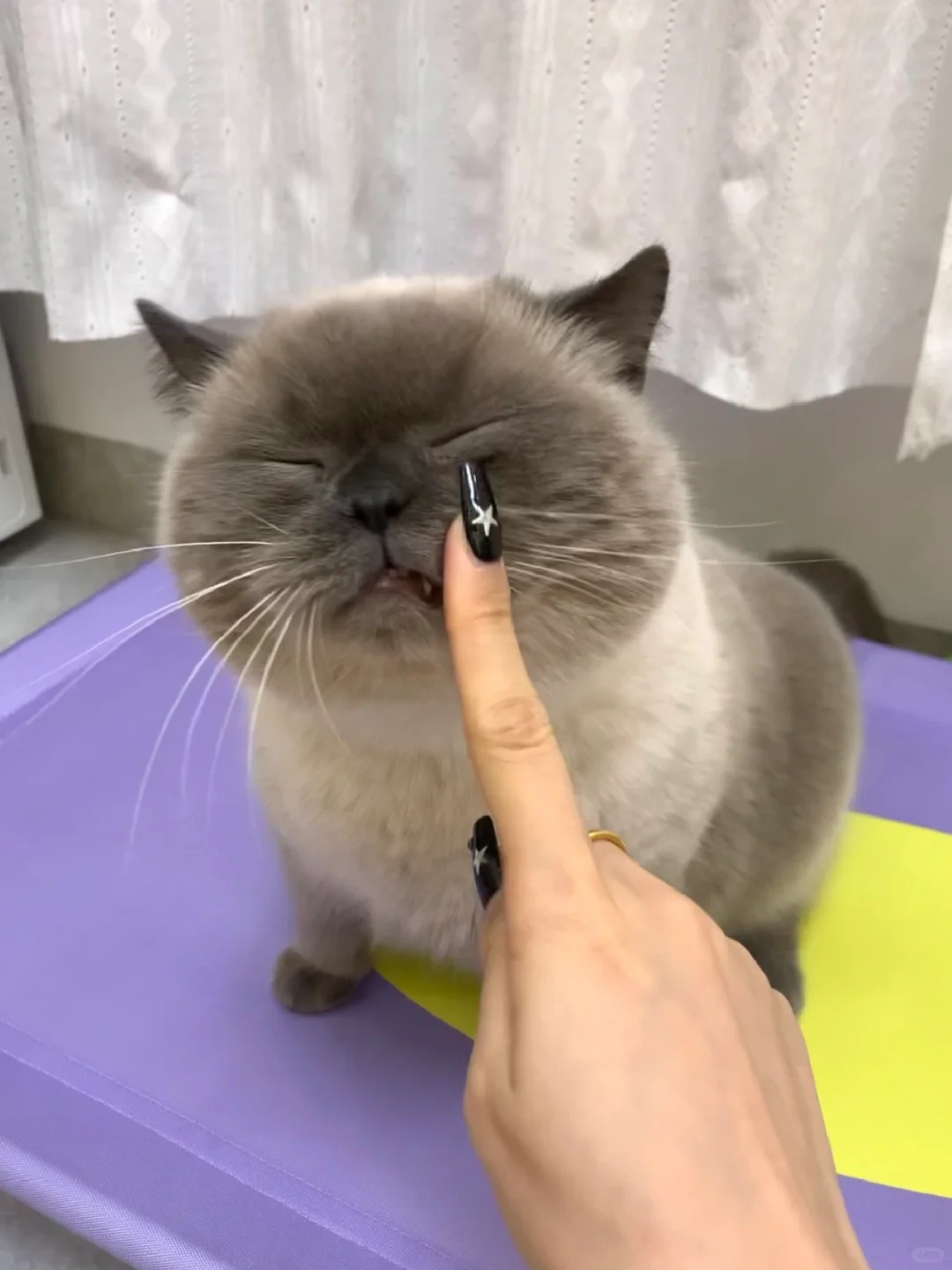 说他脸黑他就生气了