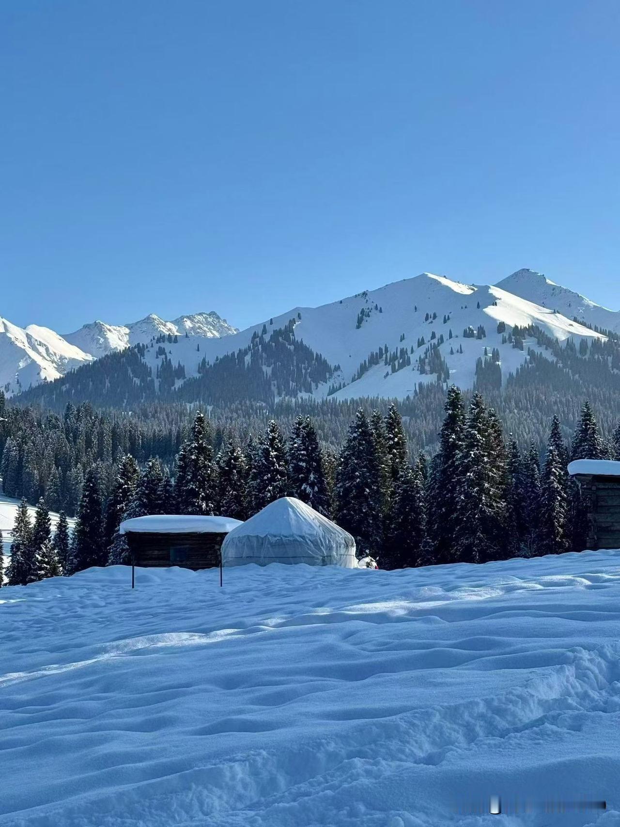 雪地里拍的都是风景，油菜花田里拍的都是故事。前半生在雪山顶上追风，后半生在花海里