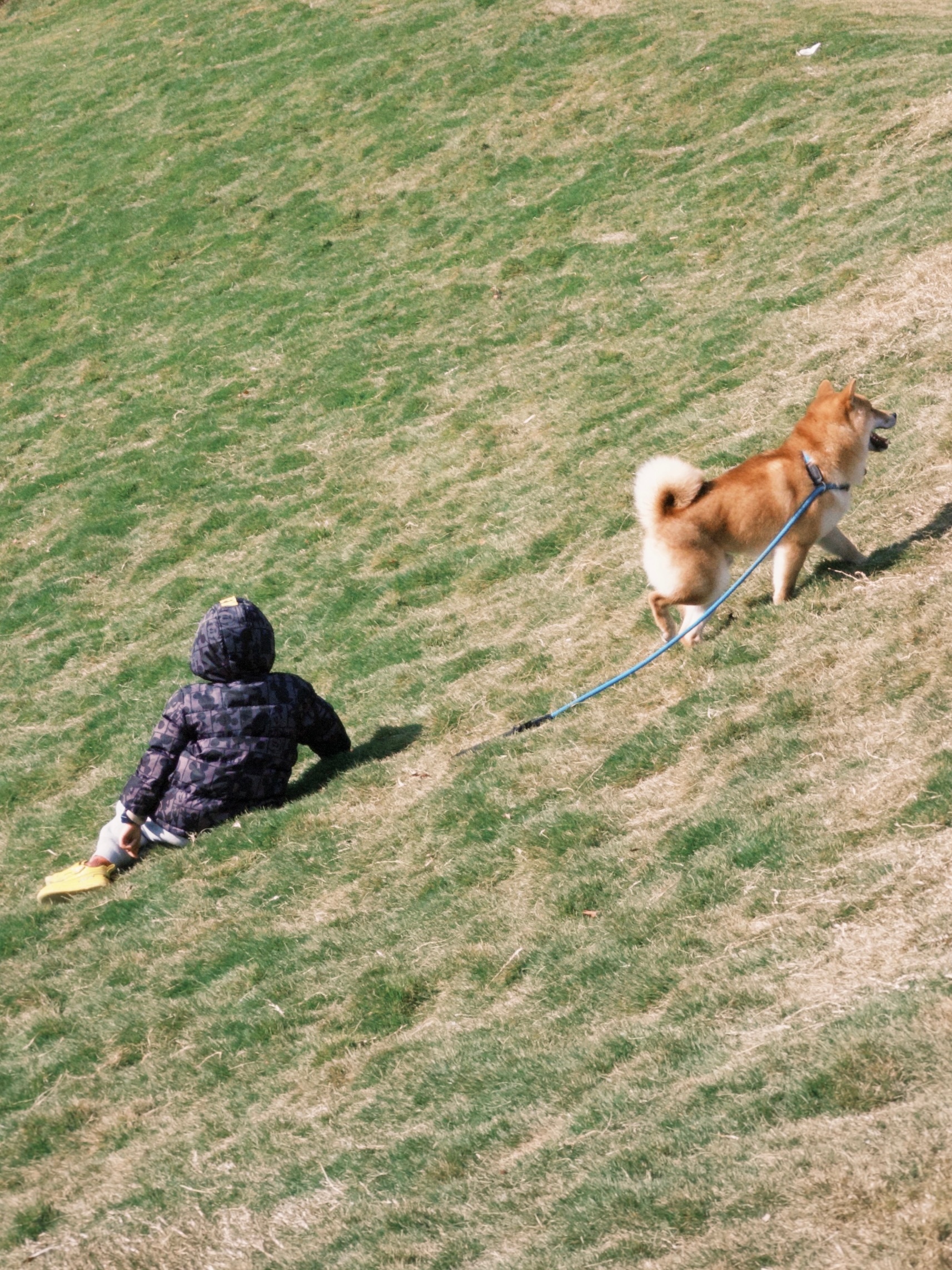 在有阳光的地方碰面🤩  