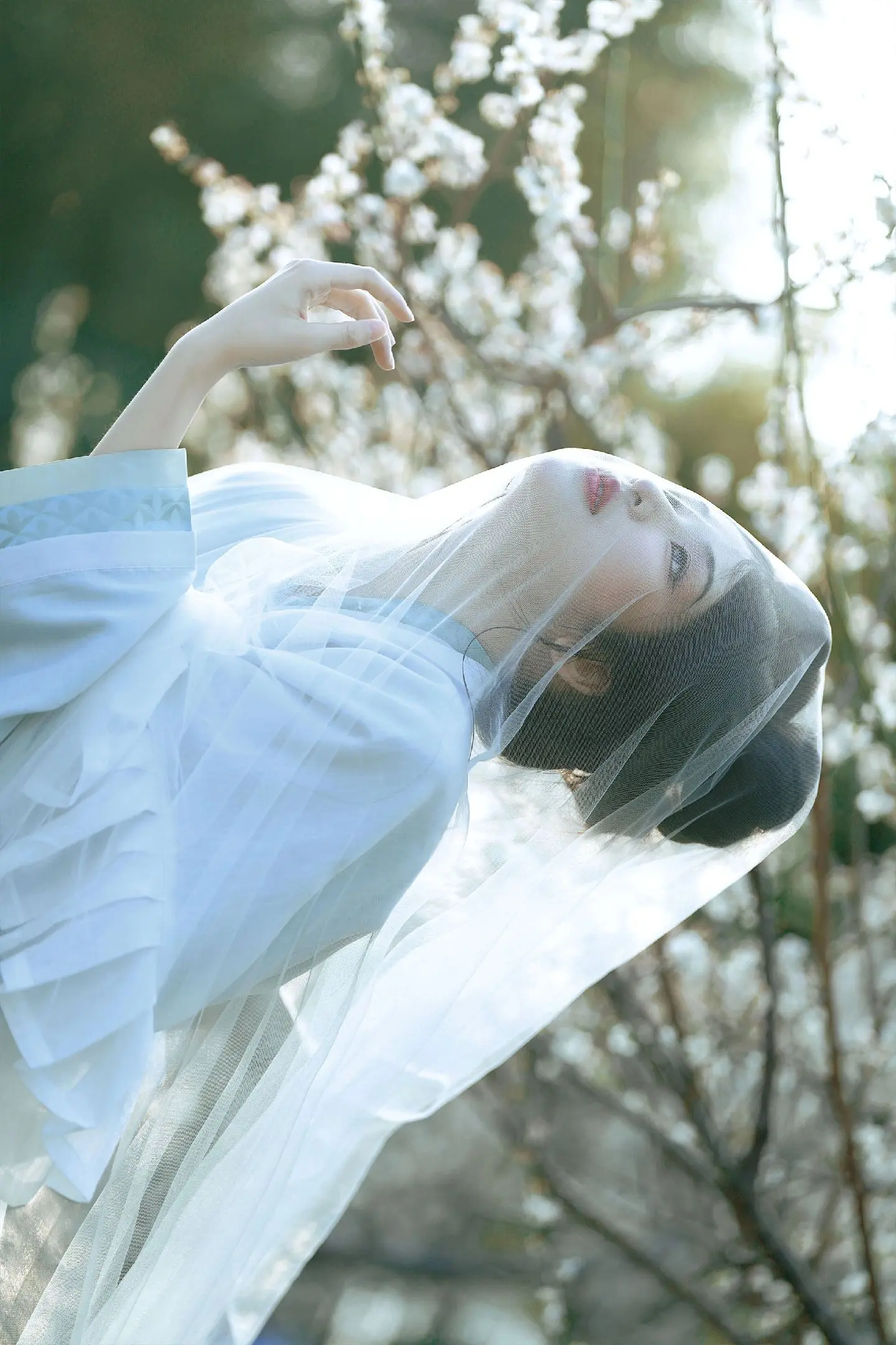 雪却输梅一段香。