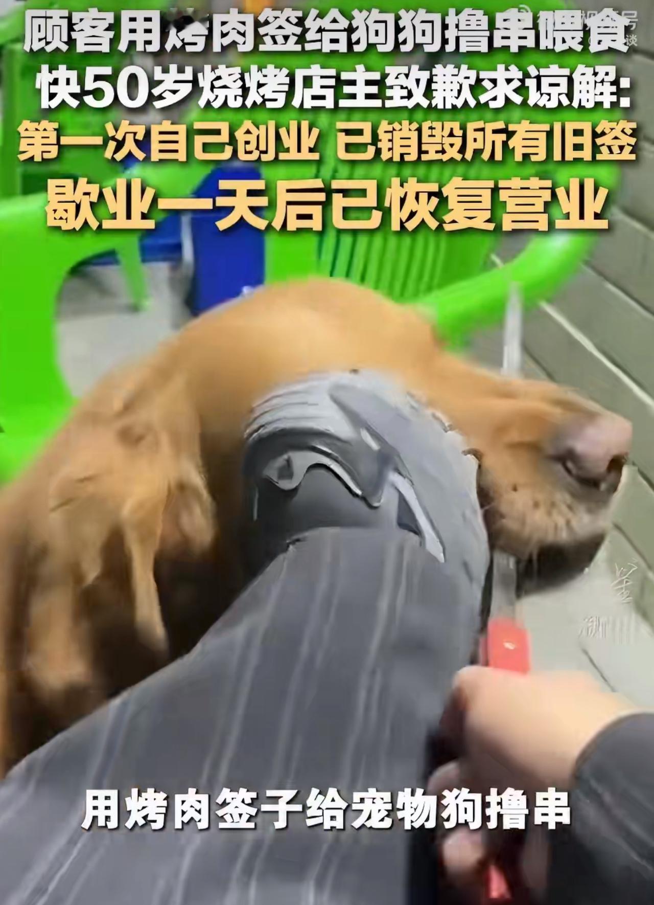 顾客用烤肉签给狗狗撸串喂食导致烤肉店生意受损，快50岁烧烤店主致歉求谅解: 第一