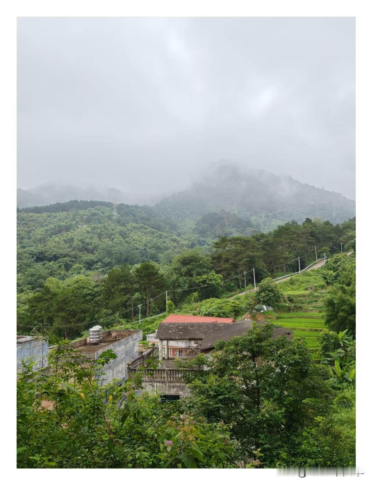 雨后的山村，温润而秀气，走在这里心情好多了。