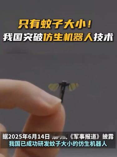 国防科技大学研究出一种蚊子大小的仿生机器人，除了军事领域以外，它还有哪些用途？