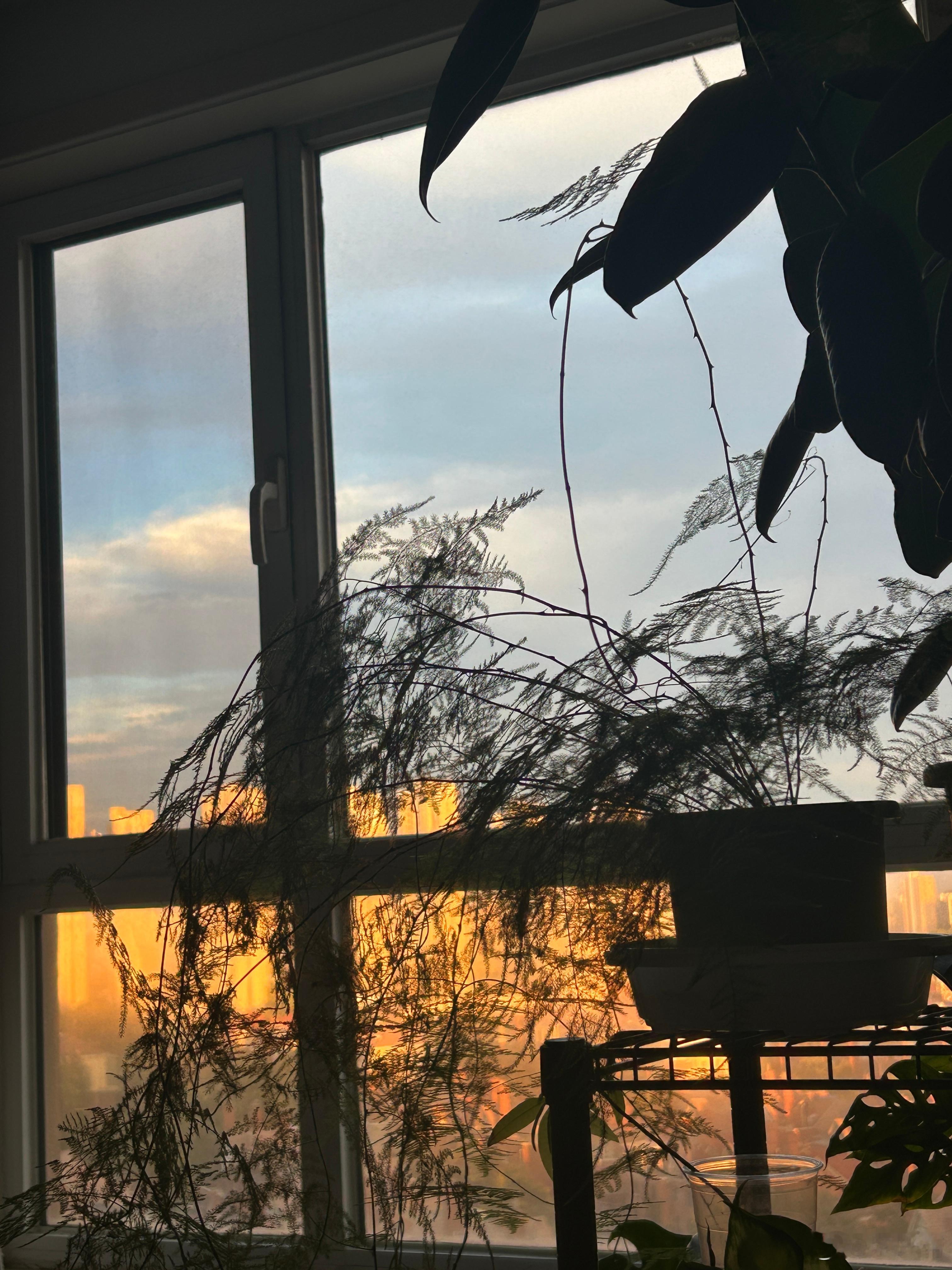 [吃瓜]这夕阳好美呀～喜欢这种温暖的颜色 ​​​