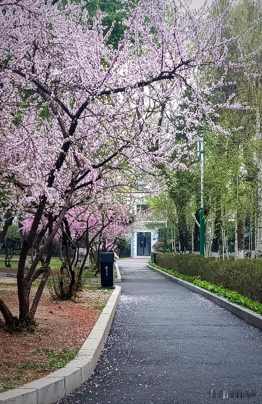 让你操心了。你期望的那种情形不会出现！
地铁多了，形成了地下交通网。利用地铁出行