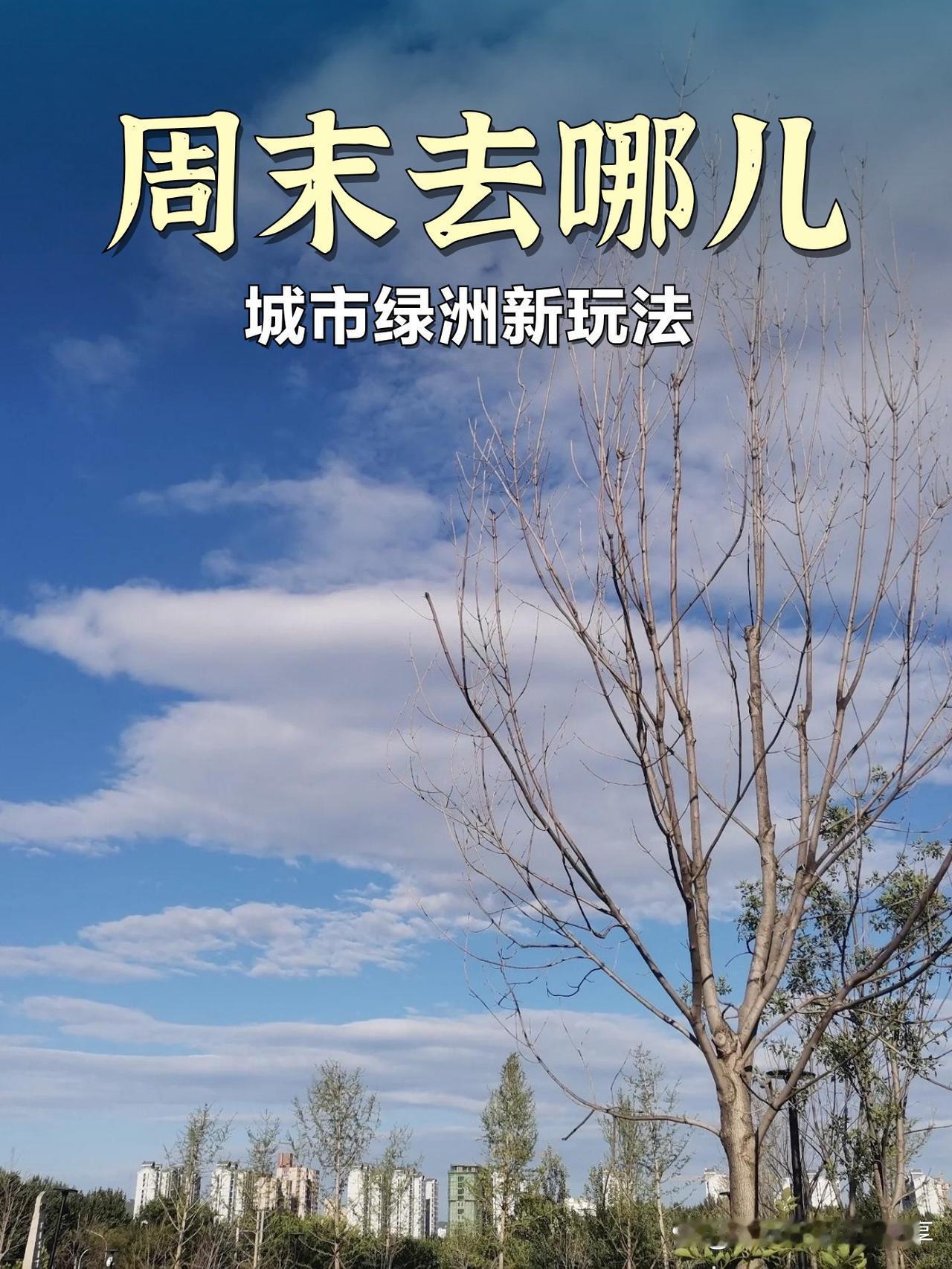 周末漫游指南｜解锁城市绿洲新玩法

发现了一处藏在市区的小众宝藏地！绿树成荫的周