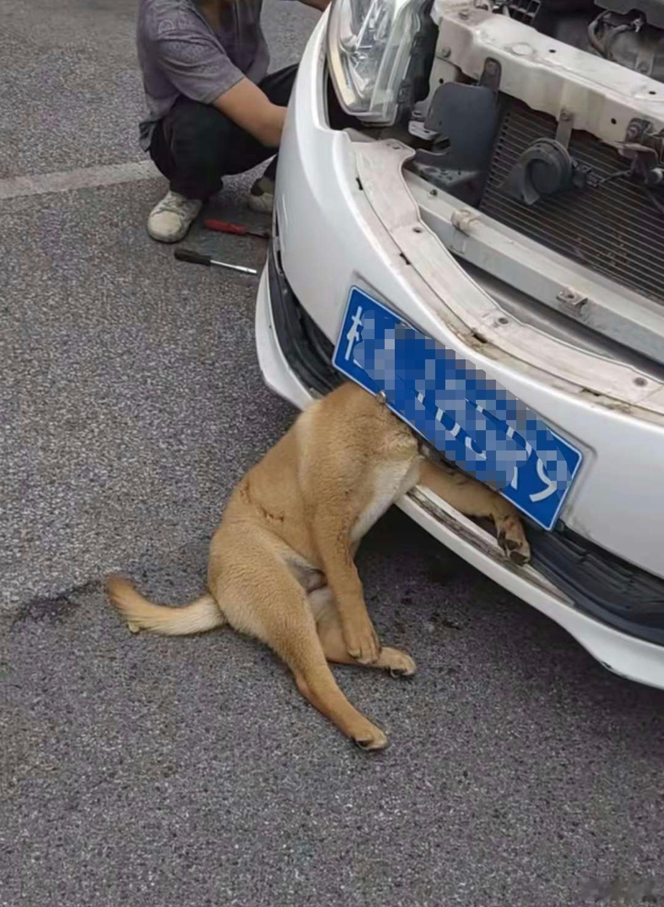 这哥们如果换车，你会推荐他买……… ​​​