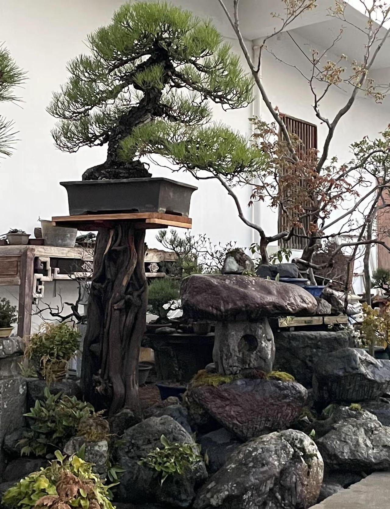 在一个不完美的世界里寻找一个完美的东西是很难的。