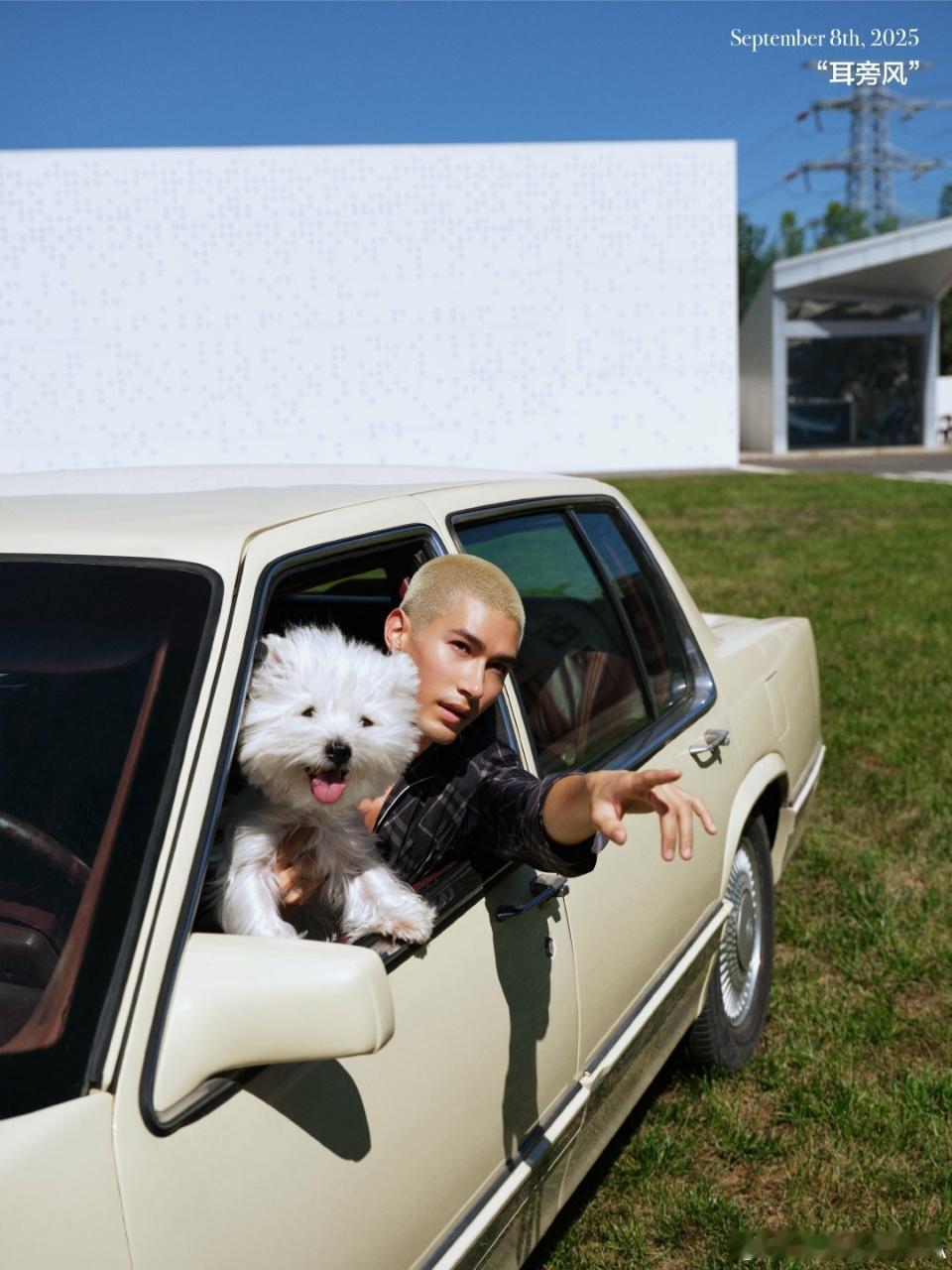 米卡全家都被中国圈粉了 米卡的 “全家中国漫游” 持续更新中！继故宫、西安、张家