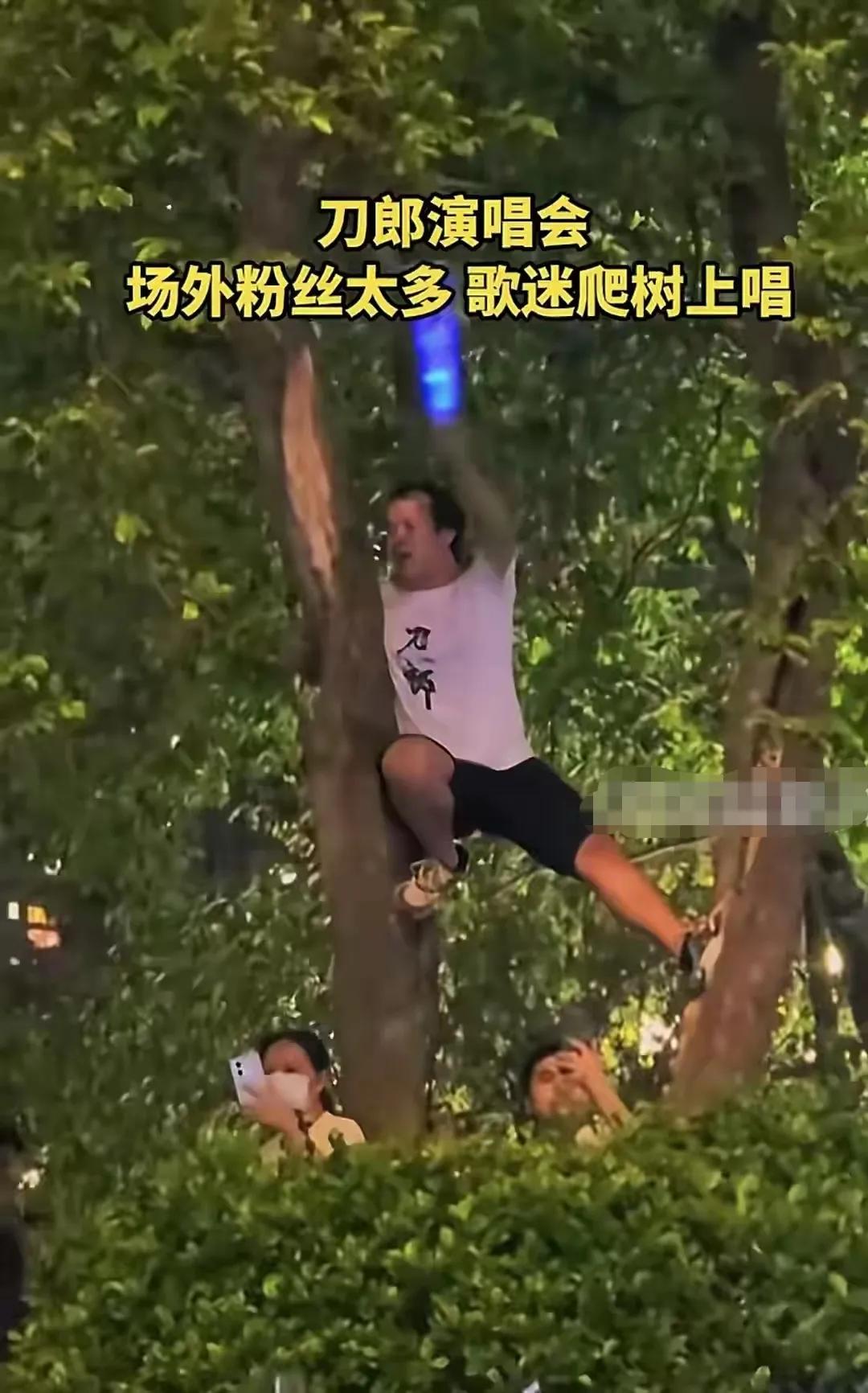 刀郎如此受欢迎，让那些主流音乐圈的人怎么想？
近日，刀郎演唱会的序幕在缓缓的拉开