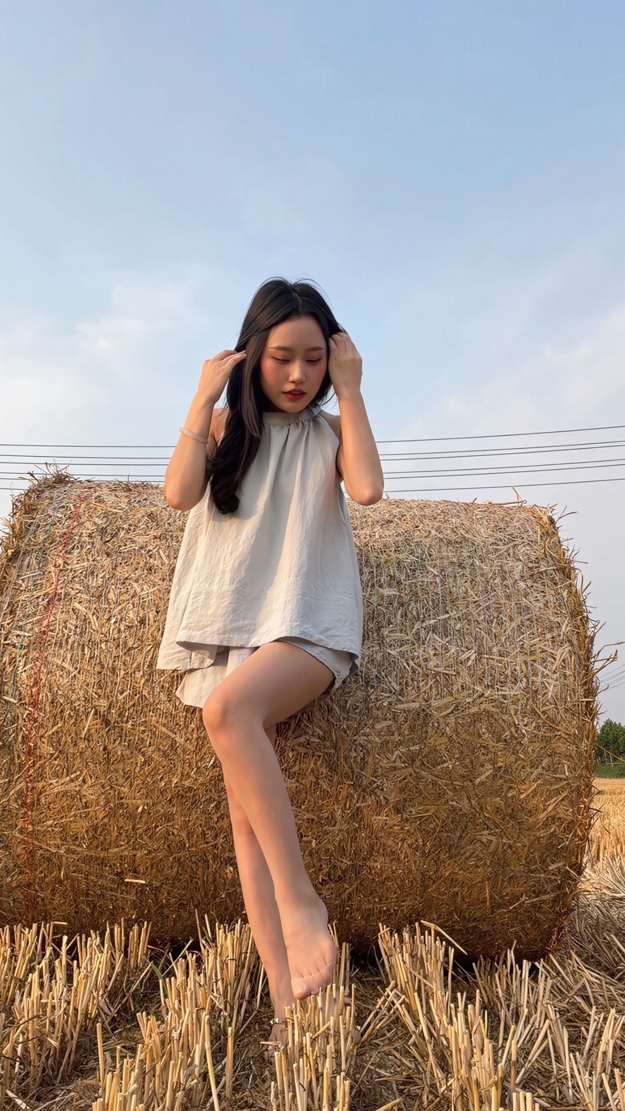 小麦进入收割期了