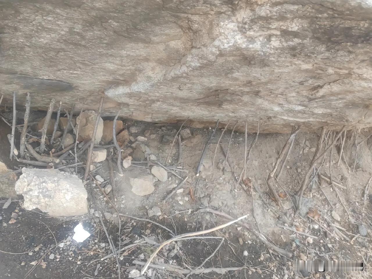 今天爬山发现的现象，这些小树枝放这是什么意思？朋友们求解。