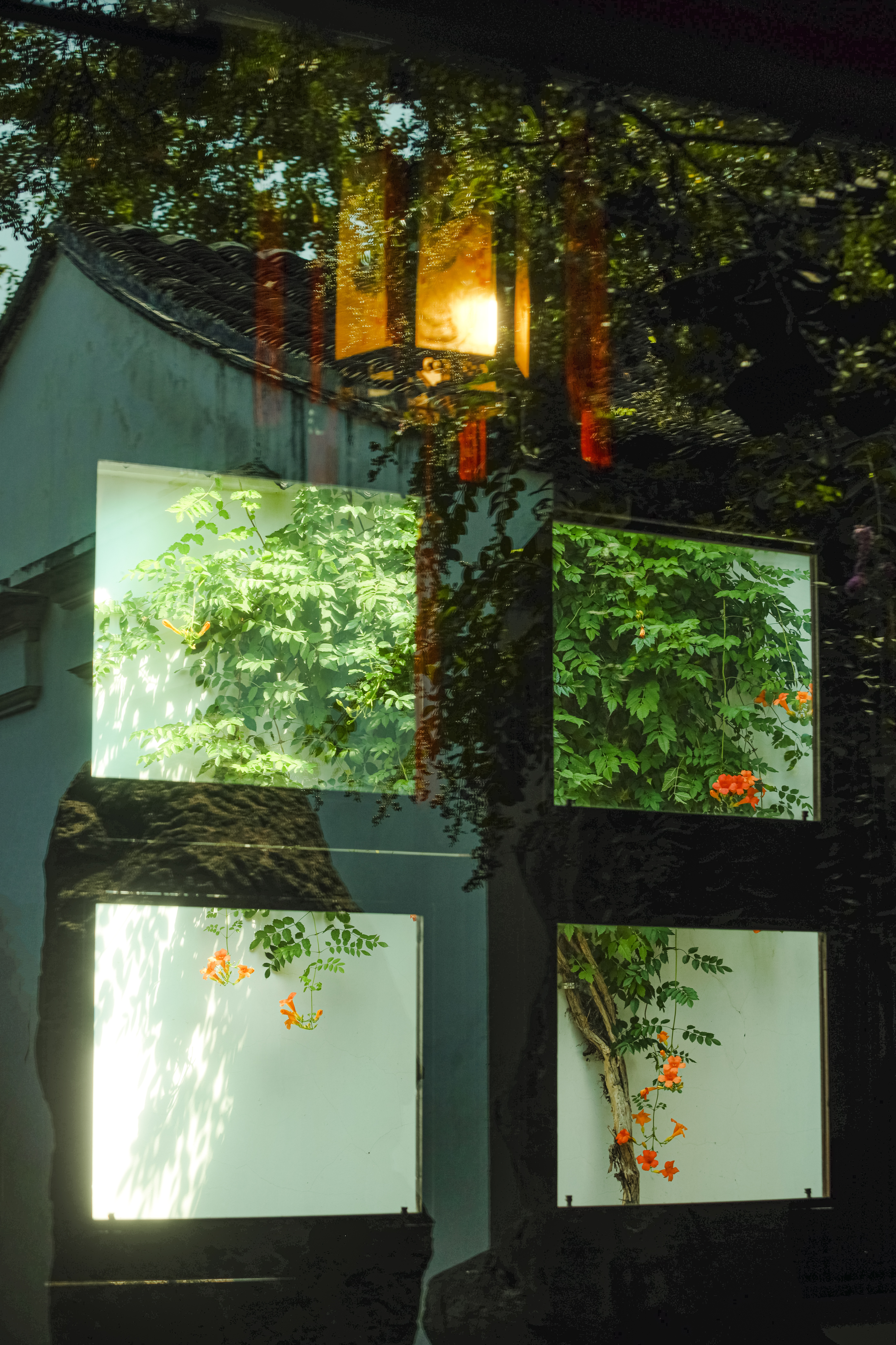 夏天会记得一切cr.宝藏摄影博主推荐计划 ​​​
