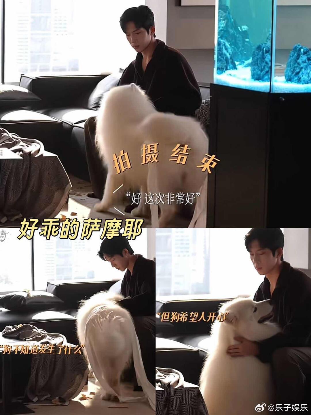 井柏然孙千现场抢狗 追剧团现场的这场小闹剧趣味十足，两位主演被小狗吸引暂时放下宣