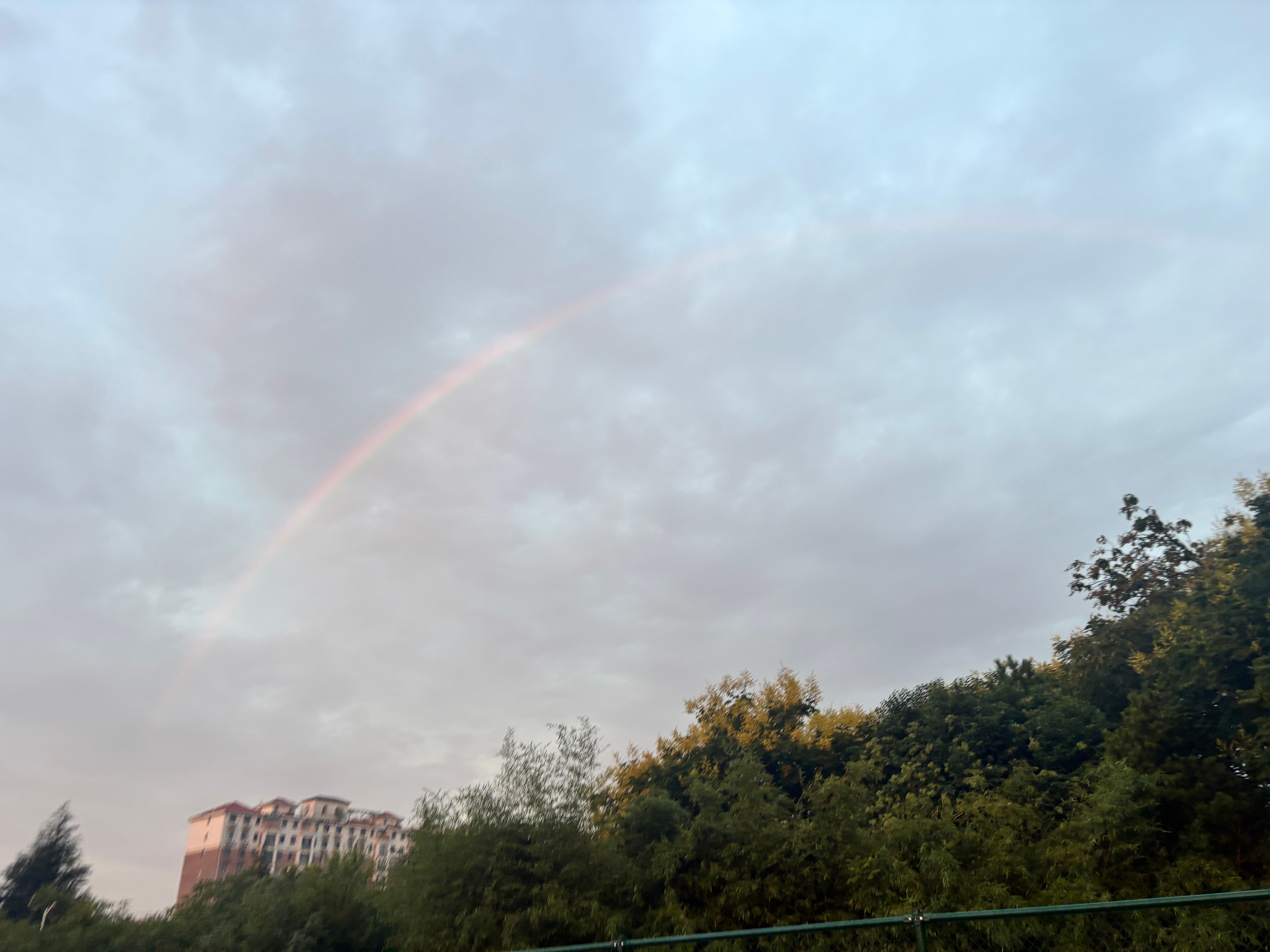 跑步[超话]  一早经历风雨又见彩虹🌈晨跑🏃‍♀️总能遇见美好即刻开跑运动就