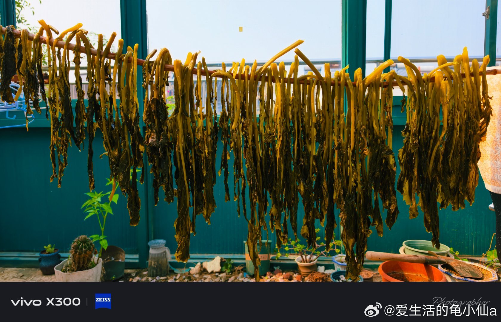 这才上午九点某人就开始烧午餐的排骨然后又开始拆除自己房间的东西我说你不用拆了我准