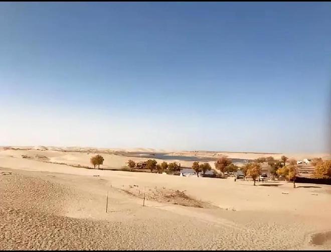 一块地，曾经风一吹就能把沙子卷进嘴里，连骆驼都不屑停留半步。可现在，那里却是一片