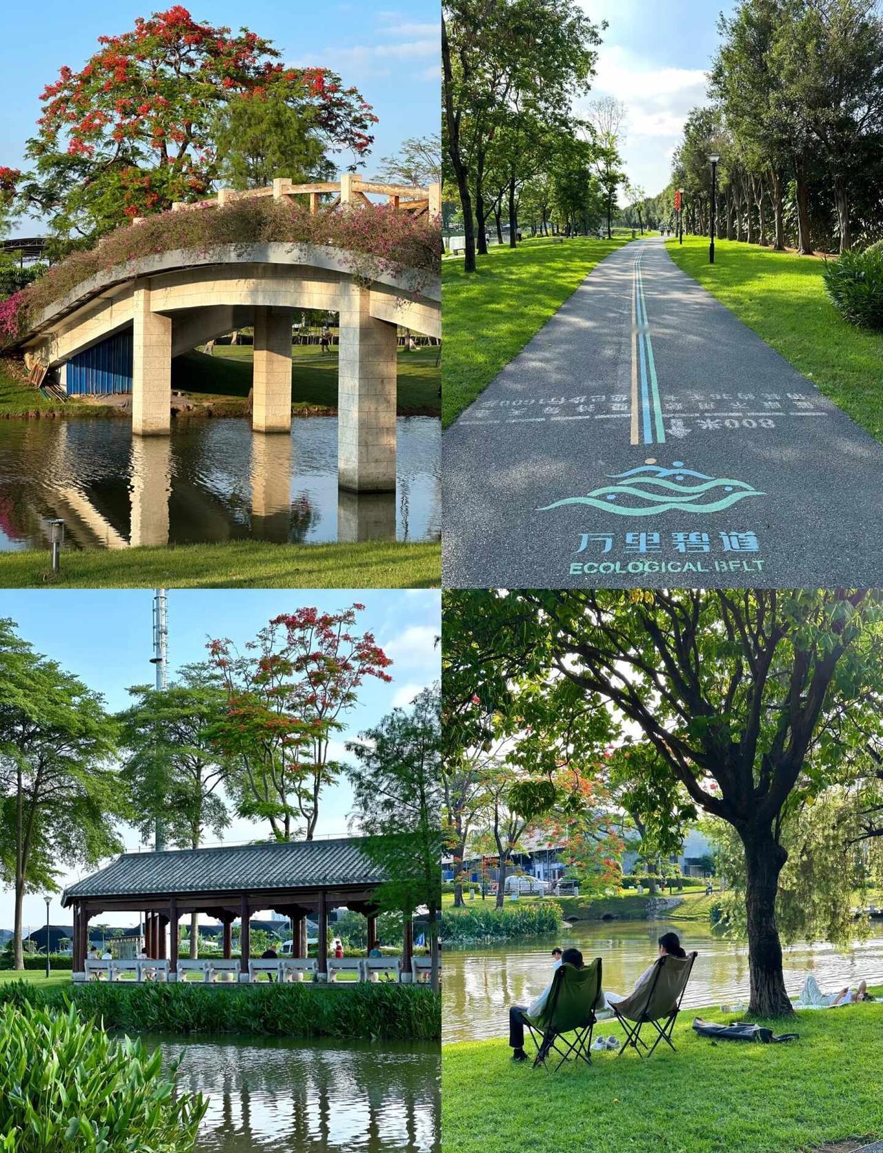 周末别宅家！来这里躺平吸氧🌿也太舒服了
📍万里碧道｜城市天然氧吧打卡散步、吸