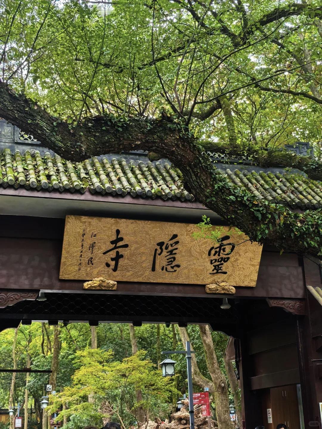 杭州官宣取消灵隐寺门票

“灵隐寺要免费了？！”杭州西湖景区官方账号的一则通告，