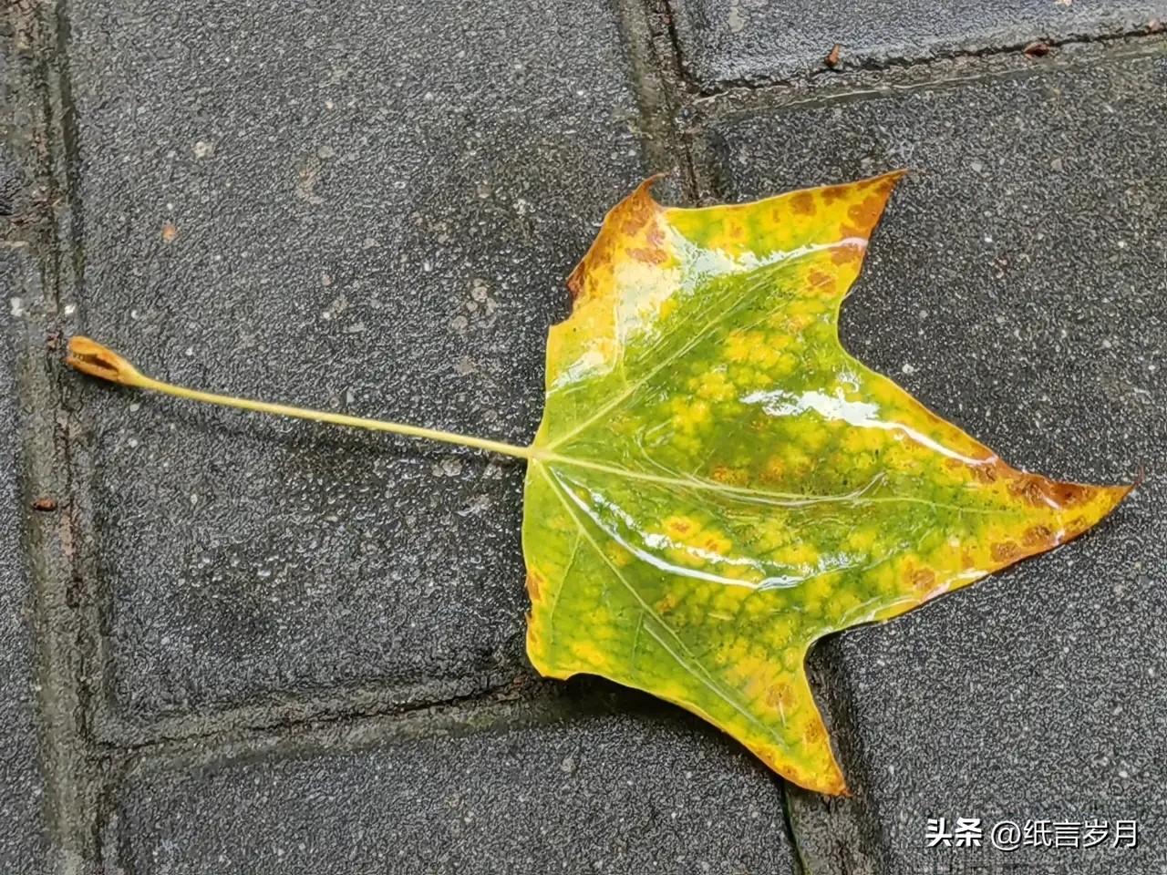 昨晚冻得蜷缩了一晚上，一秒入深秋，看来得撤掉凉席了。18℃，外套已上身。

时间