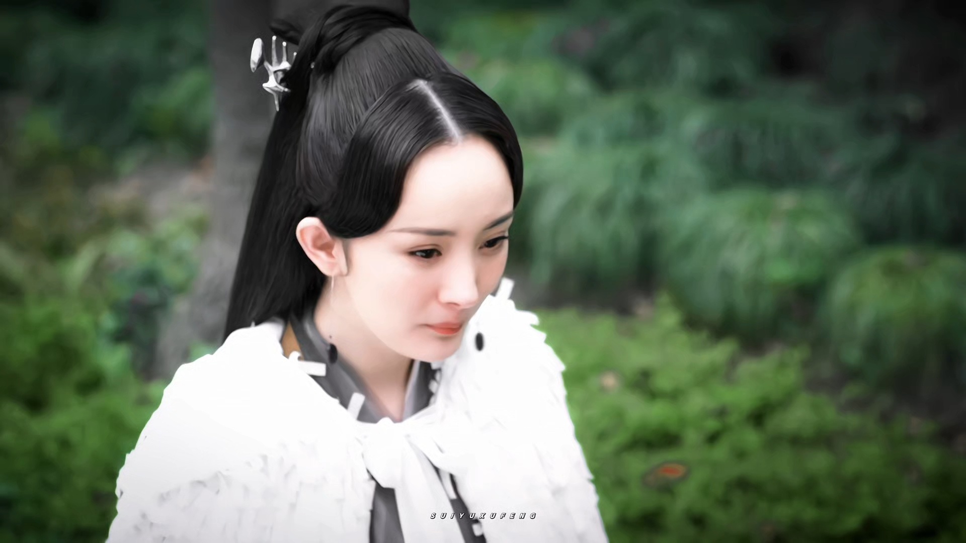 风吹丹顶鹤