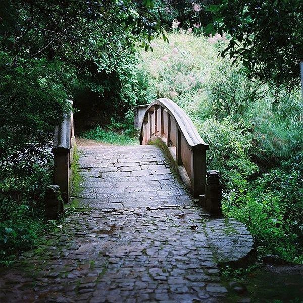 因过竹院逢僧话，偷得浮生半日闲。  ——李涉《题鹤林寺僧舍》 ​​​