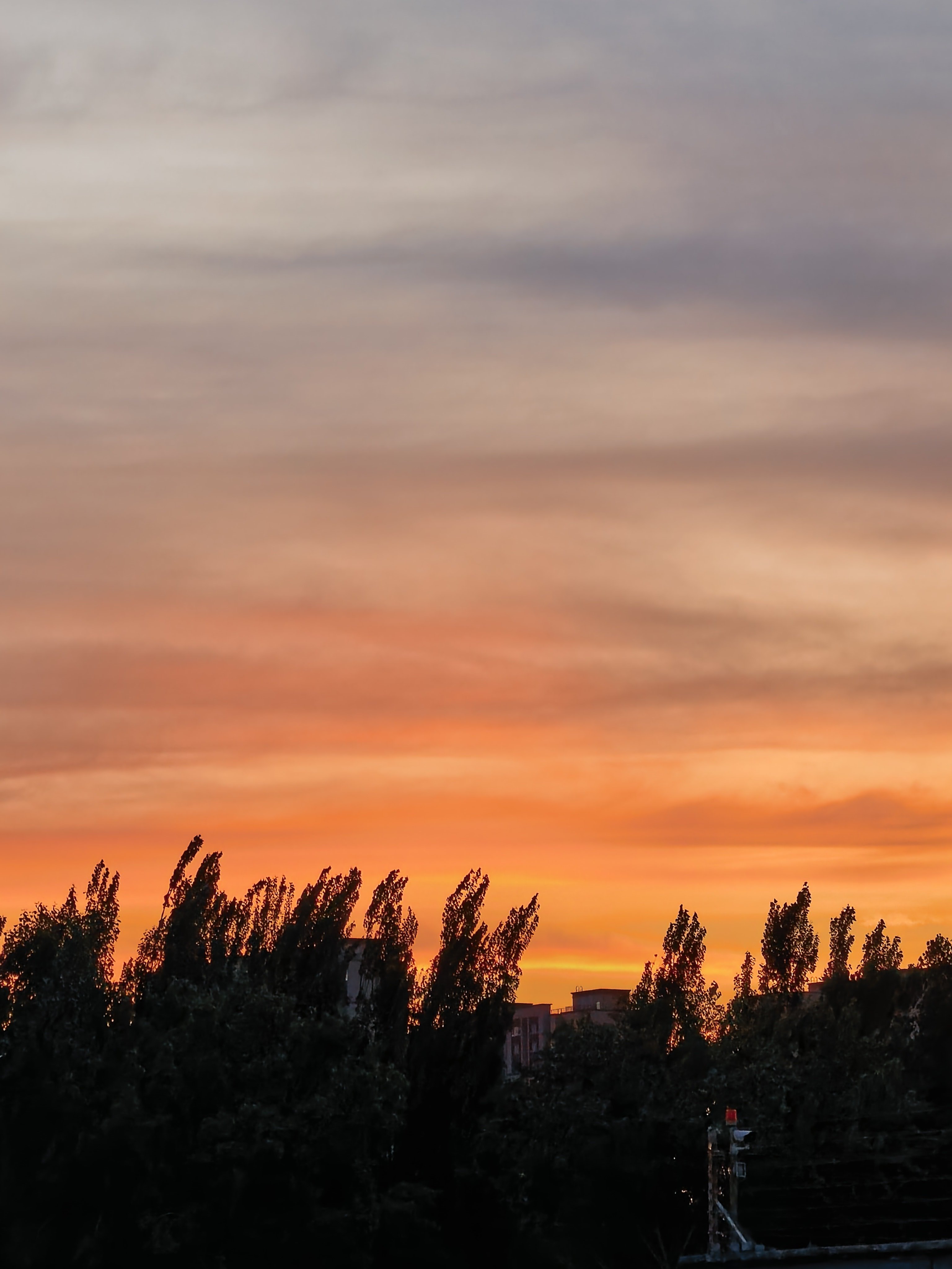 今日份的橘子味天空。🍊🌅 